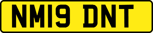 NM19DNT