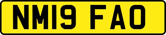 NM19FAO