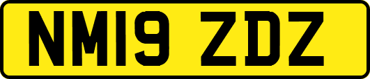 NM19ZDZ