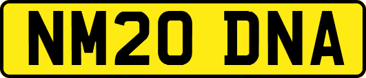 NM20DNA
