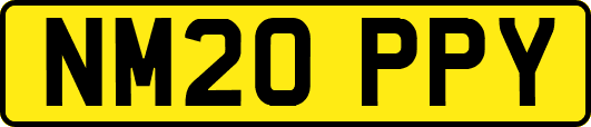 NM20PPY