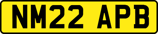 NM22APB