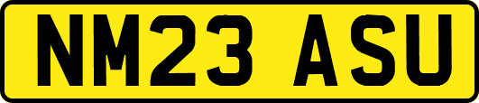 NM23ASU