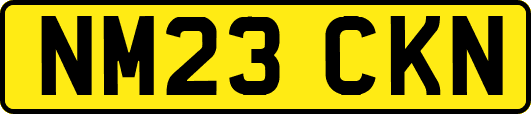 NM23CKN