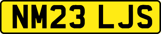 NM23LJS