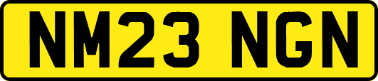 NM23NGN
