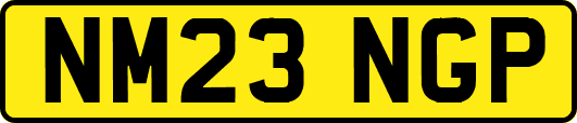 NM23NGP