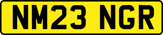 NM23NGR