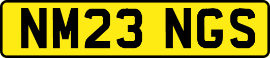 NM23NGS