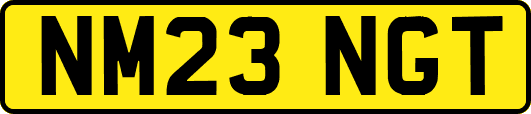 NM23NGT
