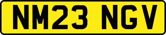 NM23NGV