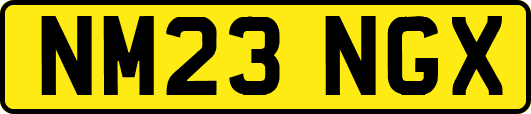 NM23NGX