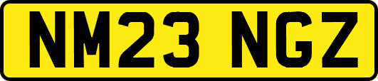 NM23NGZ