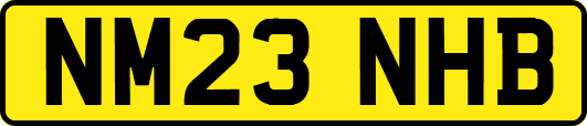 NM23NHB
