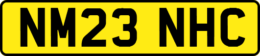 NM23NHC