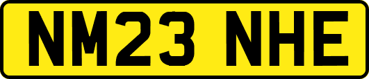 NM23NHE