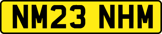 NM23NHM