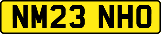NM23NHO