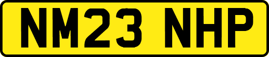 NM23NHP