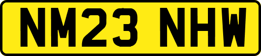NM23NHW