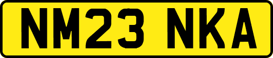 NM23NKA