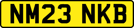 NM23NKB
