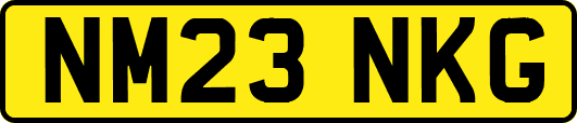 NM23NKG
