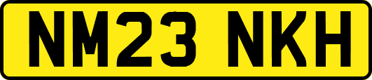 NM23NKH