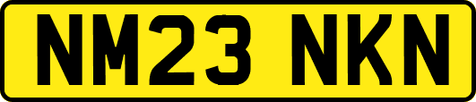 NM23NKN