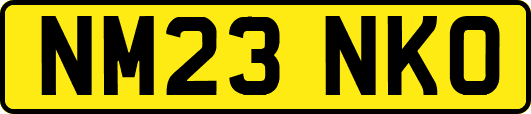 NM23NKO