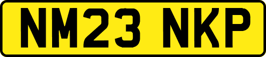 NM23NKP
