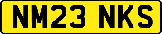 NM23NKS