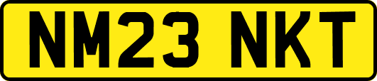 NM23NKT