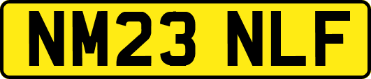 NM23NLF