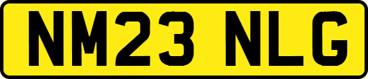 NM23NLG