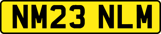 NM23NLM