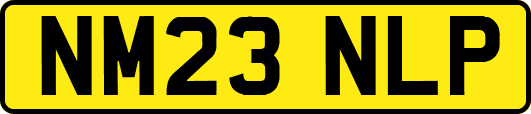 NM23NLP