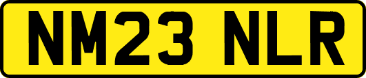 NM23NLR