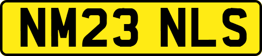 NM23NLS