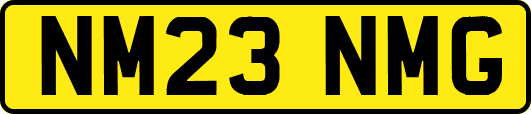 NM23NMG