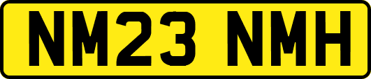 NM23NMH