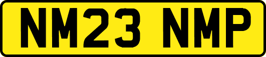 NM23NMP