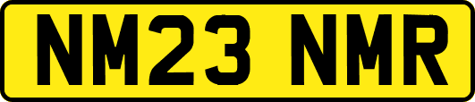 NM23NMR