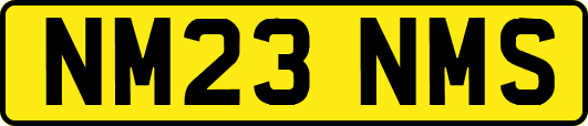 NM23NMS
