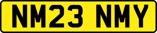 NM23NMY