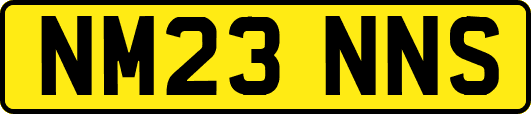 NM23NNS
