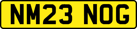 NM23NOG