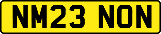 NM23NON