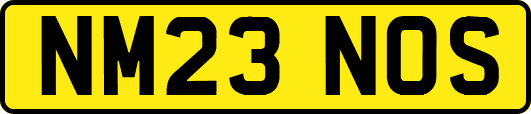 NM23NOS