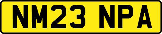 NM23NPA